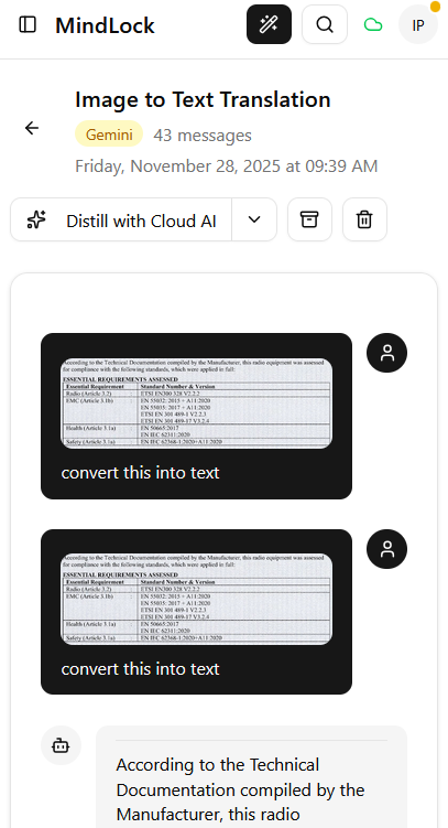 Expanded conversation view